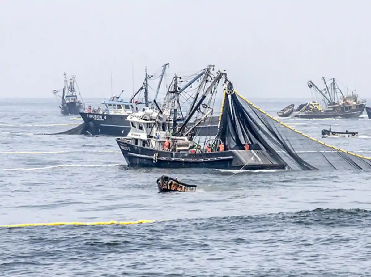 Congreso debate proyecto para prohibir definitivamente la pesca industrial en áreas protegidas, el Gobierno se resiste