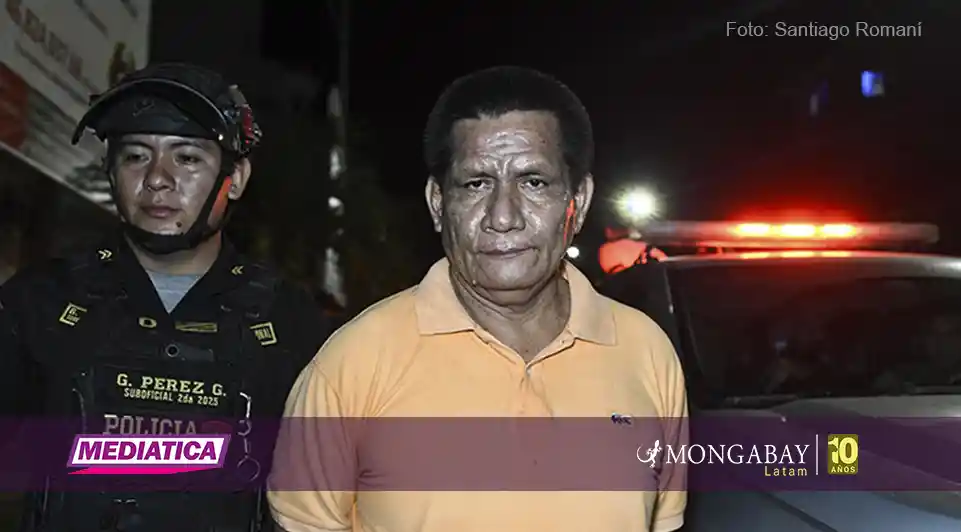 Capturan al segundo empresario sentenciado por el asesinato de defensores ambientales del caso Saweto