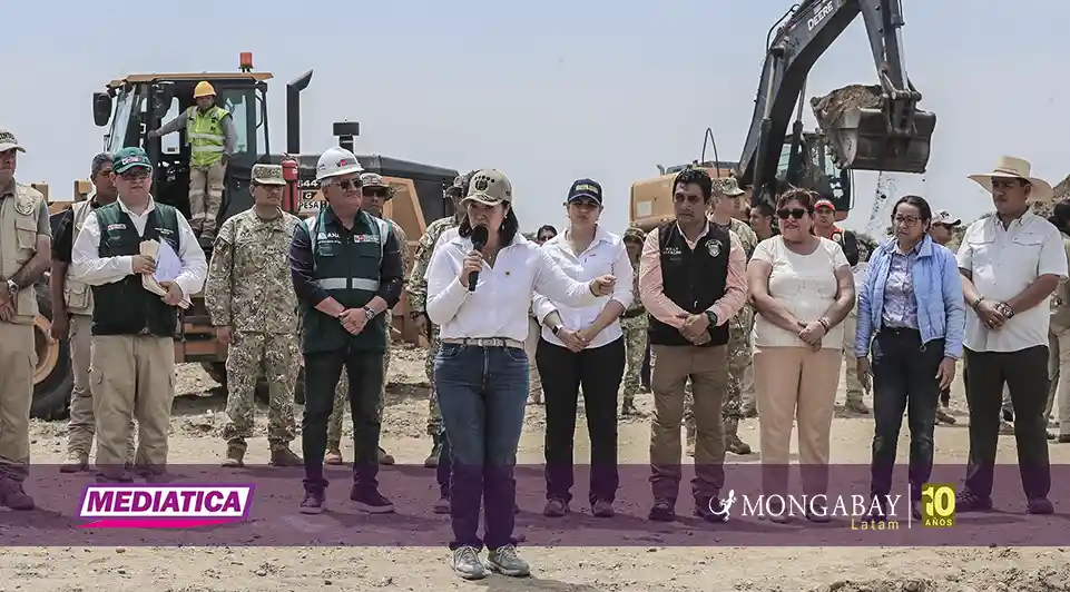 Pedido de facultades legislativas de presidenta Fujimori enciende alertas en sector ambiental de Perú