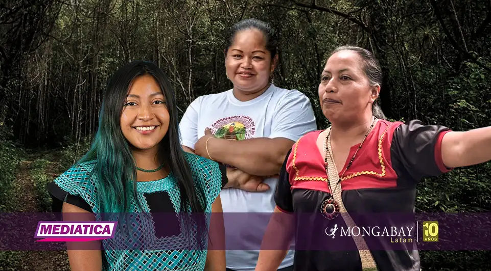 Día Internacional de las Mujeres Indígenas: tres lideresas que siembran respuestas frente al cambio climático