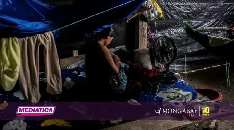 madre de dios mercurio - mediatica - elizabeth salazar